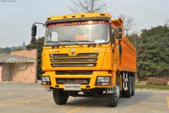 陜汽 德龍F3000重卡 336馬力 6X4 自卸車(chē)(加強版)(SX3256UR384)